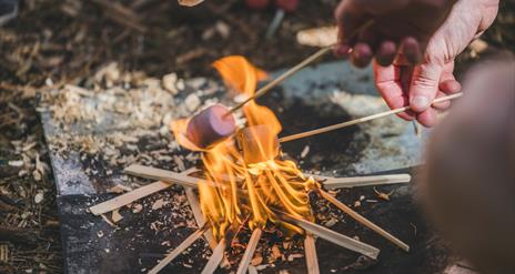 St Patrick's Weekend Activities at Share Discovery Village