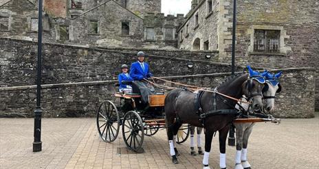 carriage driving