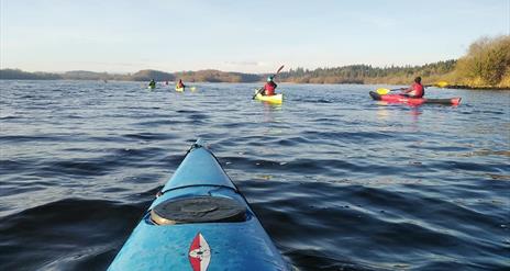 Primrose Paddle