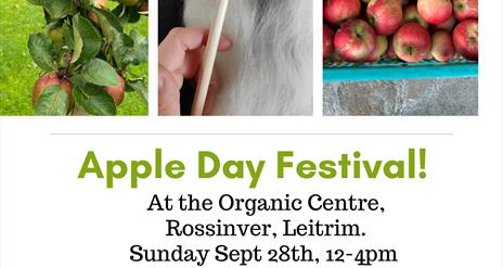 Apple Day Harvest Festival-Free entry