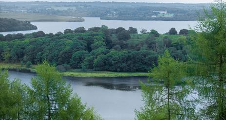Carrickreagh Viewpoint
