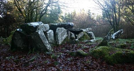 Cavan Burren Park Tomb