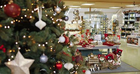 Christmas celebrations, events and offers at the Marble Arch Caves 2023