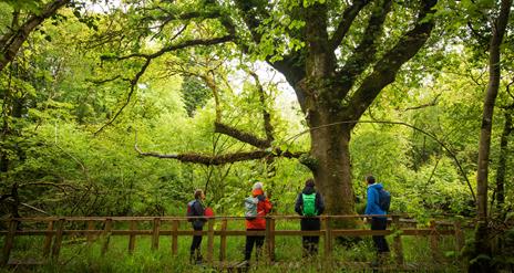Marble Arch Caves Events
