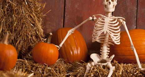 fun farm halloween