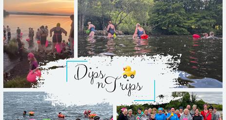Dips n Trips Community