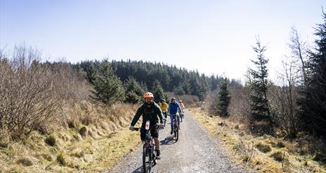 Scarplands Cycle Trail with Corralea Activity Centre