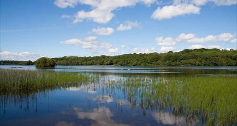Ely Lodge Shoreline