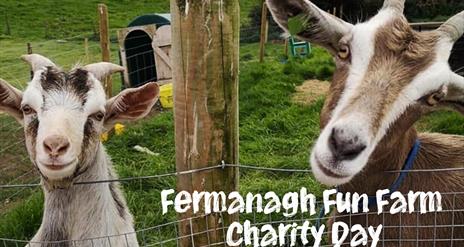 Fermanagh Fun Farm charity day