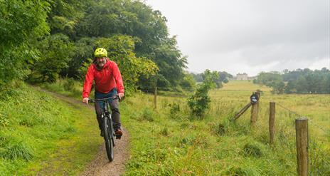Ranger Dave Tyson on a mountain bike ride at Florence Court