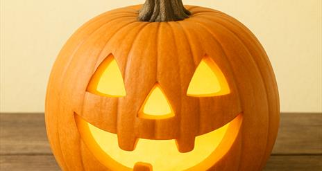 Pumpkin patch at Share Discovery Village County Fermanagh Northern Ireland