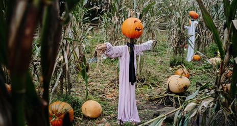 Hallowe'en at Ulster American Folk Park