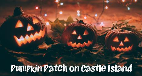 Pumpkin Patch on Castle Island