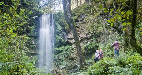 Lough Navar Forest Waterfall.