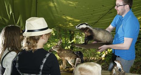 Family event at Marble Arch Caves