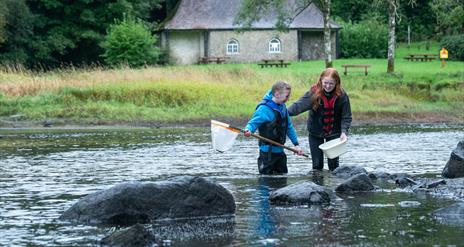 Pond Dipping