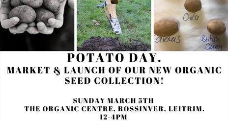 Potato day 2023 new