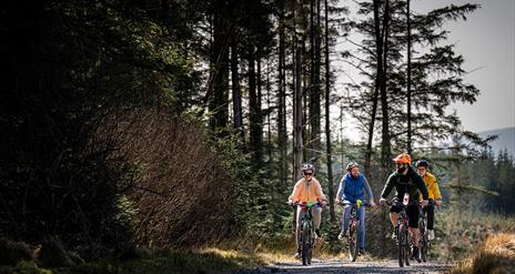 Group on electric bikes on a trail enjoying the Electric Escape experience with Corralea Adventure Centre