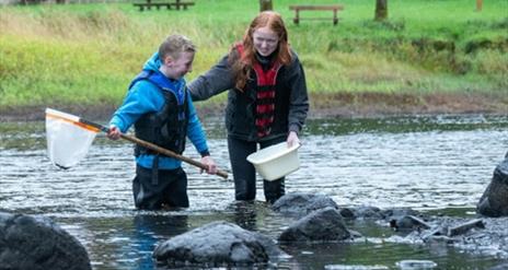 Pond Dipping