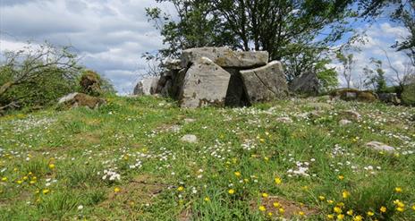 Cavan Burren Park