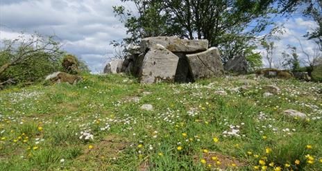 Tomb at Cavan Burren Park.
