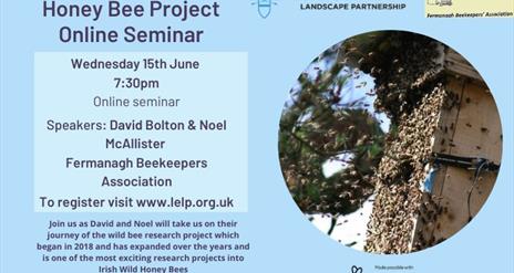 Fermanagh Wild Bee Project