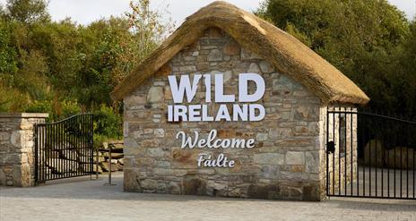 Wild Ireland