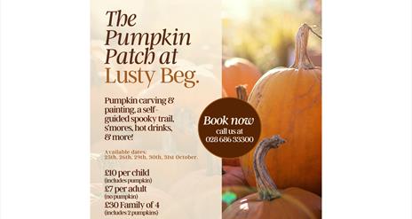 The Pumpkin Patch at Lusty Beg