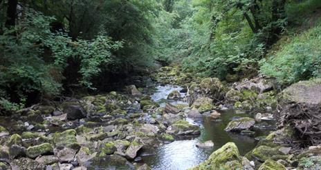 river claddagh.jpg