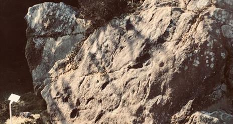 Rock art at Cavan Burren Park