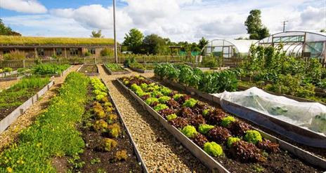 The Organic Centre