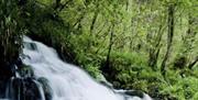 Waterfall at Cladagh Glen in County Fermanagh surrounded by woodland and natural greenery.