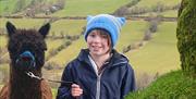 Sperrin alpacas