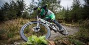 MTB