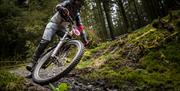 MTB