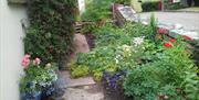 Millwood Cottage garden
