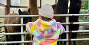 Family fun , including visiting  alpacas from Big Owen Alpacas.