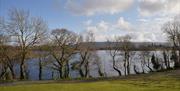 View of trees on the shore and the lake behind.