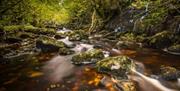 Killykeegan Nature Reserve