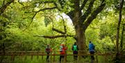 Marble Arch Caves Events