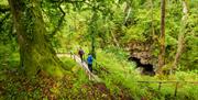 Events Marble Arch Caves