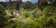 Rose cottage gardens