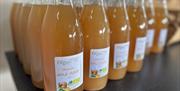 Bottles of apple juice on apple day