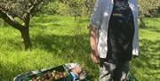 Phil Wheal will be talking about the heritage of apples.