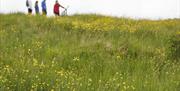 Killykeeghan Nature Reserve