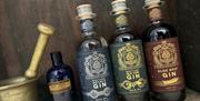 The Perfect Poison Gin & Gastronomy Experience