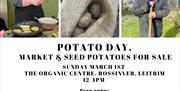 potato day poster