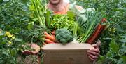 Green Earth Organics -Kenneth Keavey, one of the speakers on the day