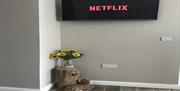 Wall mounted TV with Netflix