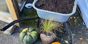 The Organic Centre is transformed for its Halloween trail